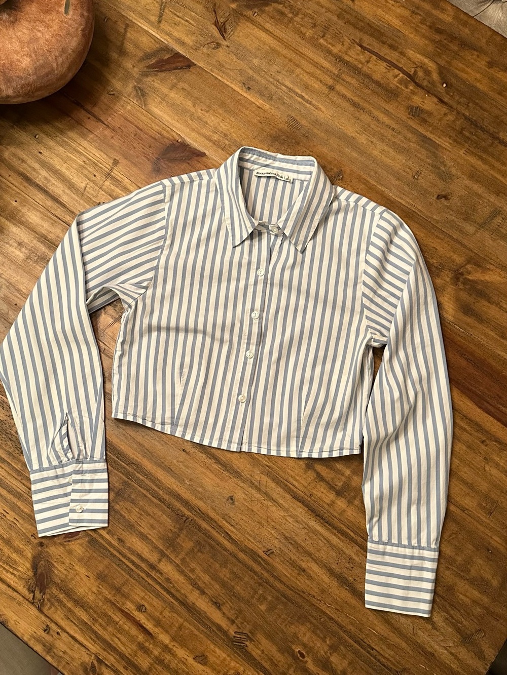 Abercrombie & Fitch Light Blue and White Striped Cropped Button-Up